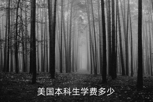 美國(guó)本科生學(xué)費(fèi)多少