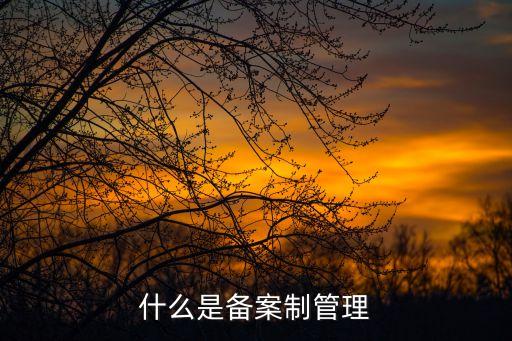 什么是備案制管理