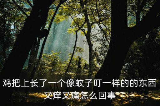 雞把照片，雞把上長了一個像蚊子叮一樣的的東西又癢又痛怎么回事