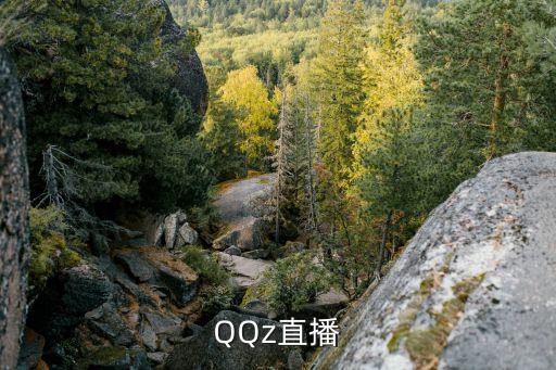 QQz直播