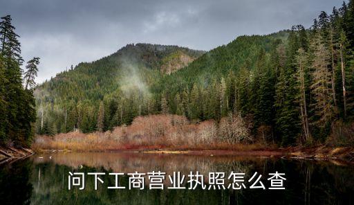 問下工商營業(yè)執(zhí)照怎么查