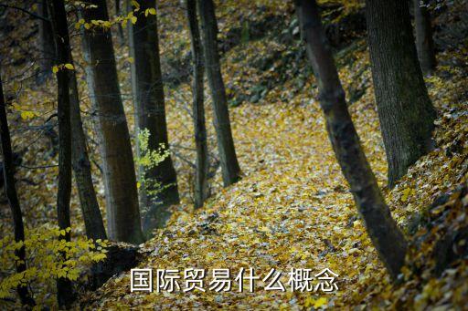 國際貿(mào)易什么概念