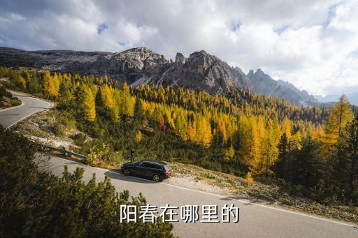 陽春在哪里的