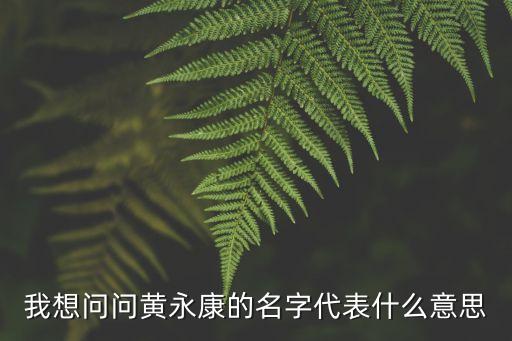 我想問問黃永康的名字代表什么意思