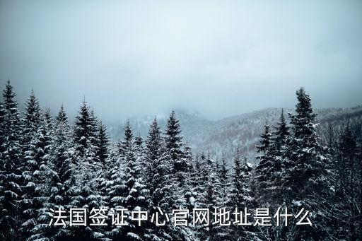 法國簽證中心官網(wǎng)地址是什么
