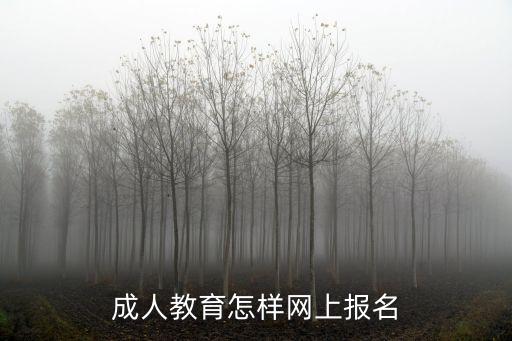 成人教育怎樣網(wǎng)上報(bào)名