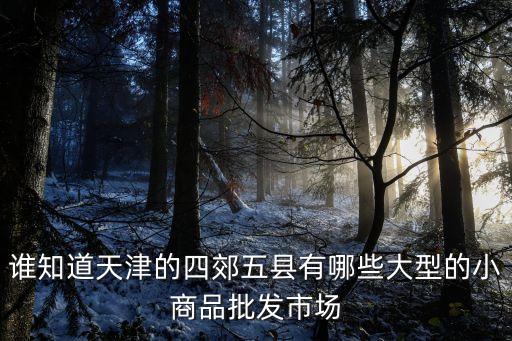 誰知道天津的四郊五縣有哪些大型的小商品批發(fā)市場
