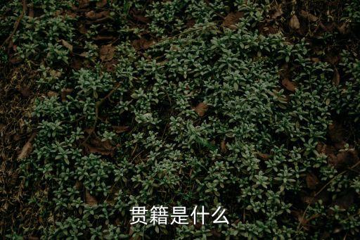 貫籍是什么，貫籍是什么