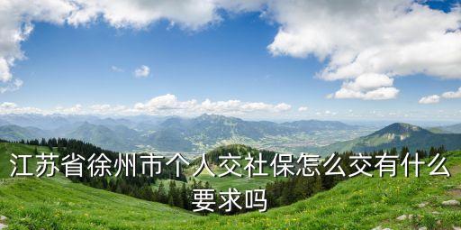 江蘇省徐州市個(gè)人交社保怎么交有什么要求嗎