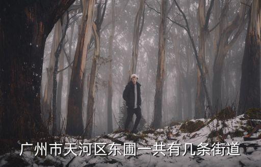 廣州市天河區(qū)東圃一共有幾條街道