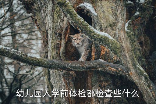 幼兒園入學(xué)體檢，幼兒園入園體檢都檢查哪些項(xiàng)目啊