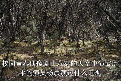 楊晨，楊晨的介紹