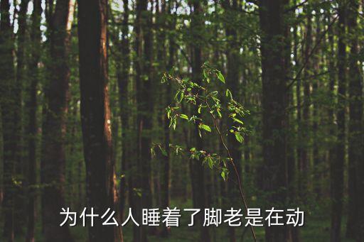 為什么人睡著了腳老是在動