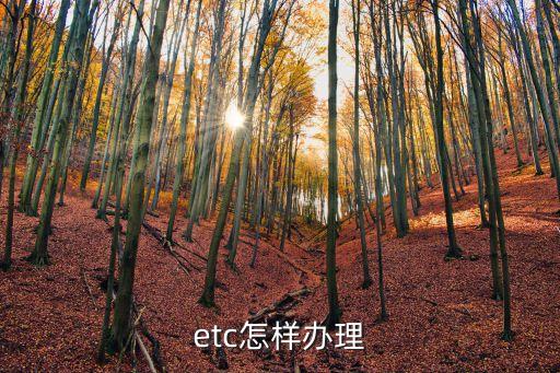 etc怎樣辦理