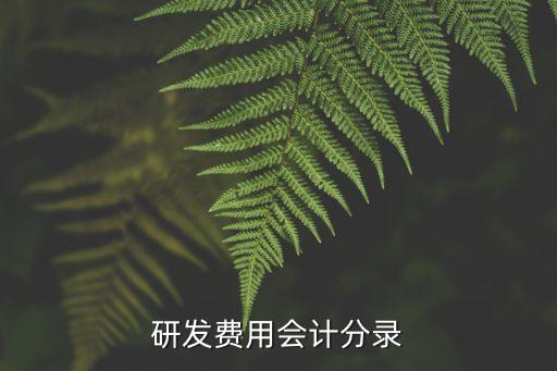 研發(fā)費用賬務(wù)處理，研發(fā)費用的賬務(wù)處理