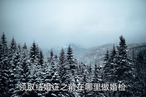 婚前體檢在哪里做，做婚前檢查在什么地方做有過(guò)性活還可以做嗎