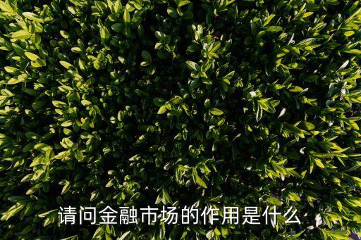 金融市，請(qǐng)問金融市場(chǎng)的作用是什么