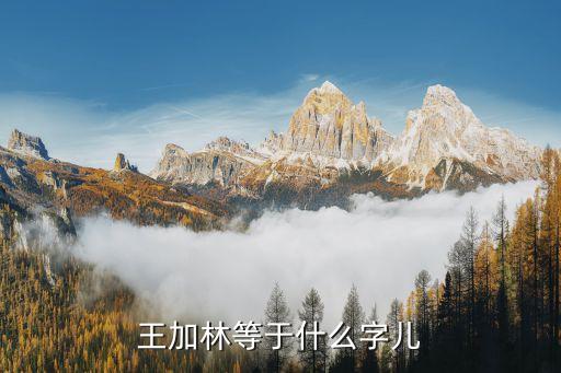 王加林，泗陽(yáng)縣工商局長(zhǎng)王加林哪里人學(xué)歷