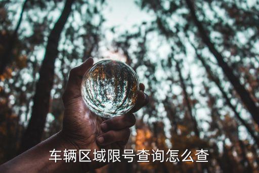 交通限號(hào)查詢(xún)，北京今日限號(hào)