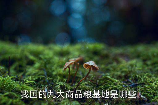 商品糧，什么是商品糧農(nóng)村糧急