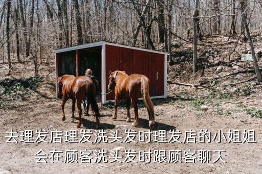 發(fā)廊小姐，發(fā)廊里的技師是做什么的 工資大概多少
