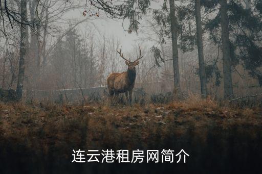 連云港租房網(wǎng)簡介