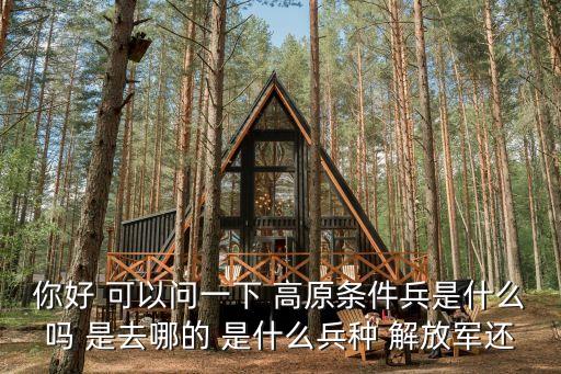 你好 可以問(wèn)一下 高原條件兵是什么嗎 是去哪的 是什么兵種 解放軍還