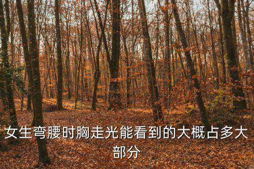 女生彎腰時(shí)胸走光能看到的大概占多大部分