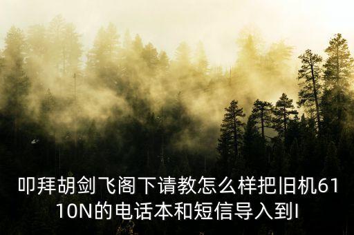 胡劍飛，叩拜胡劍飛閣下請教怎么樣把舊機6110N的電話本和短信導(dǎo)入到I