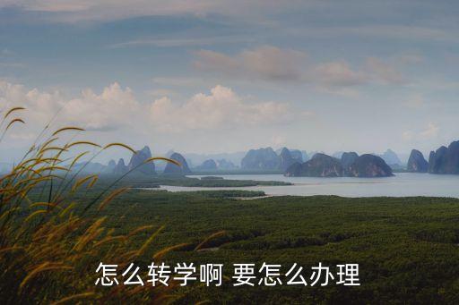 轉(zhuǎn)學(xué)怎么辦理，怎么轉(zhuǎn)學(xué)要什么手續(xù)