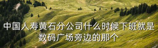 中國人壽黃石分公司什么時候下班就是數(shù)碼廣場旁邊的那個