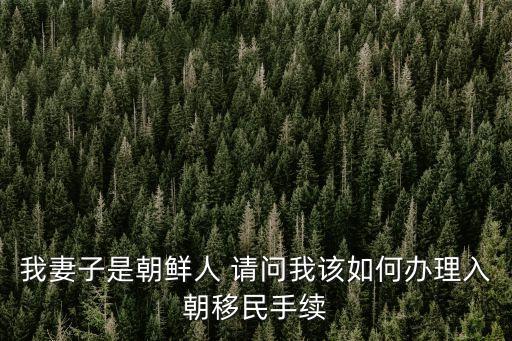 我妻子是朝鮮人 請(qǐng)問(wèn)我該如何辦理入朝移民手續(xù)