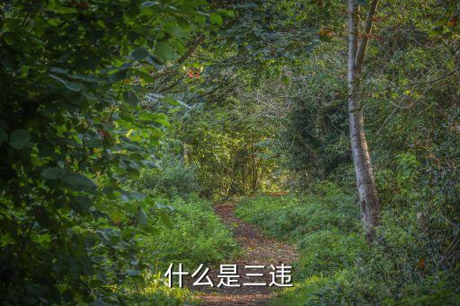 什么是三違
