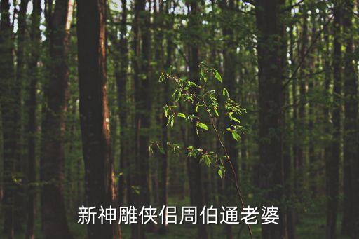新神雕俠侶周伯通老婆