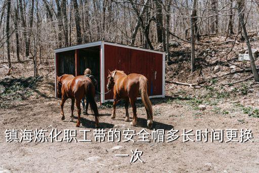 安全帽的有效期是多久，安全帽的使用年限請(qǐng)阿里巴巴故意網(wǎng)的高手專家們幫忙看下