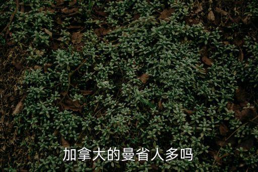 加拿大的曼省人多嗎