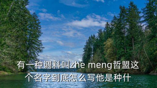 有一種調(diào)料叫zhe meng哲盟這個名字到底怎么寫他是種什