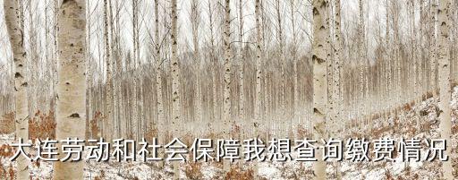 大連社保查詢，大連在哪個網(wǎng)站查詢自己的勞動保險