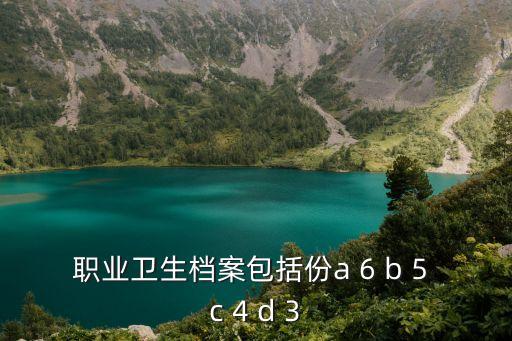職業(yè)衛(wèi)生檔案包括份a 6 b 5 c 4 d 3