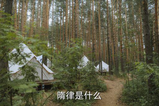 永徽律，永徽律疏 在哪個朝代改成 唐律疏議