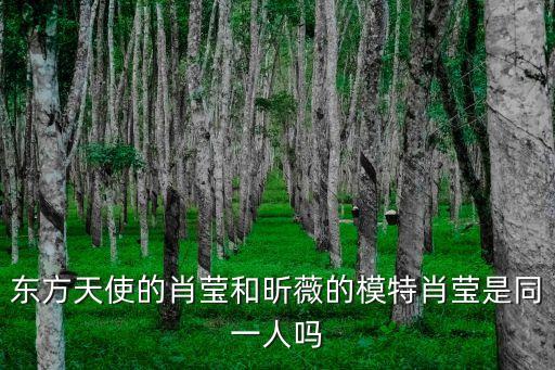 肖瑩，肖瑩藝術(shù)簽名