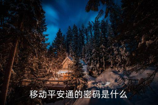 平安通，平安通輪胎是哪個(gè)廠生產(chǎn)的