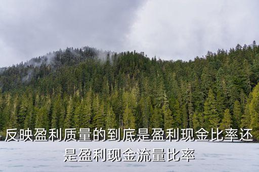 盈利現(xiàn)金比率，什么是凈利潤現(xiàn)金比率