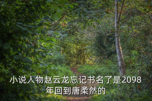 小說人物趙云龍忘記書名了是2098年回到唐柔然的