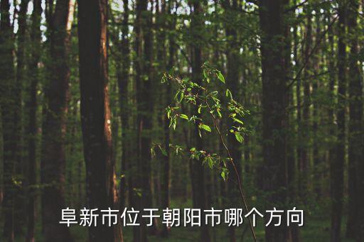 阜新在哪，阜新市位于朝陽市哪個方向