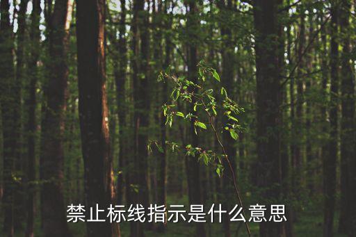 禁止標(biāo)線，禁止標(biāo)線指示是什么意思