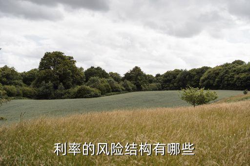 利率風(fēng)險，什么是利率風(fēng)險一些大銀行或貸款機構(gòu)的利率風(fēng)險怎么產(chǎn)生的  搜