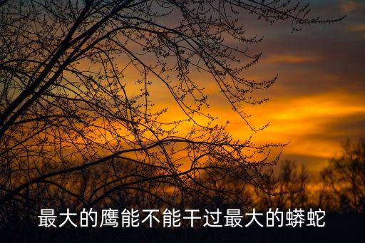 最大的鷹能不能干過最大的蟒蛇