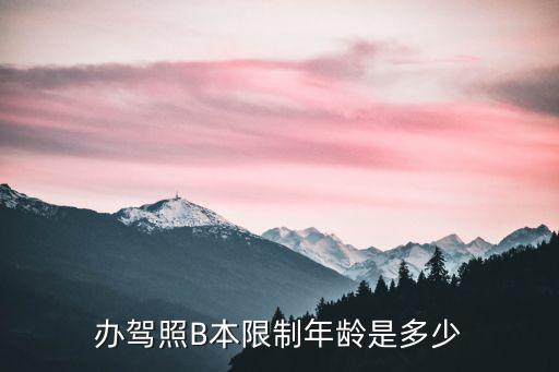b本，辦駕照B本限制年齡是多少