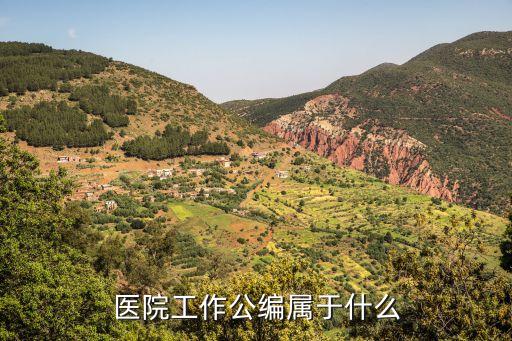 醫(yī)院編制，醫(yī)院工作公編屬于什么